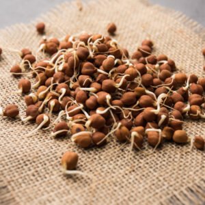 Black chana or brown chickpeas sprouts in a bowl